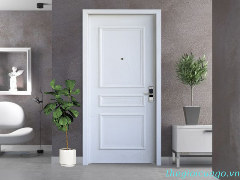 Cửa gỗ nhựa composite phào nổi